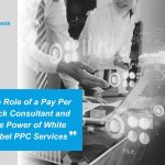 pay per click consultant